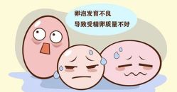 -邢台妇产医院