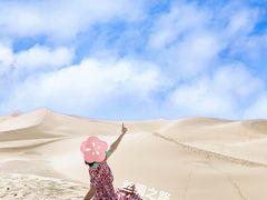 -金塔沙漠胡杨林景区