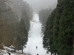 -武陵山森林公园