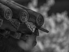 -莲池书院博物馆