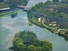 -嘉定凯悦·咖啡厅