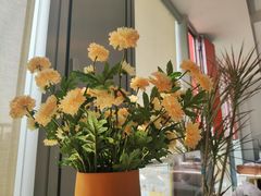 -鲸渝眼镜·浅目视光(春熙路店)