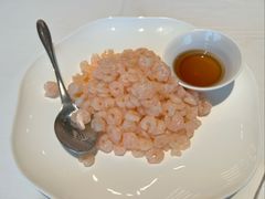 -洋洋中餐馆·SINCE 1997(龙湖星湖天街店)