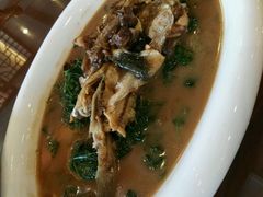 红烧河豚-鸿运酒楼