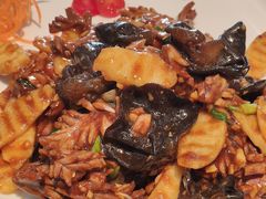 -鑫悦诚府·新鲁菜·餐厅(趵突泉店)