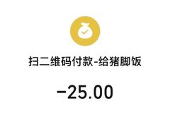 -猪脚洪隆江猪脚饭