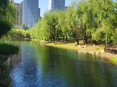 -长春公园(普阳街道)