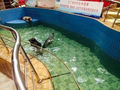 android_upload_pic-新世纪绿洲(抚顺店)