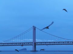 -星海广场