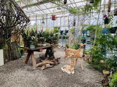 -石家庄市植物园