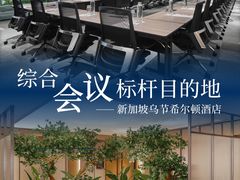 -新加坡乌节希尔顿酒店 (SG Clean)