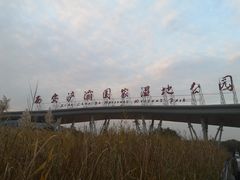 -西安浐灞国家湿地公园