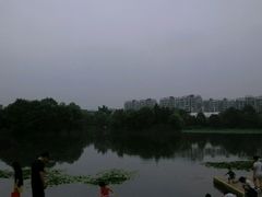 -新江湾城公园