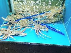 -鲜味食族水产·海鲜餐厅