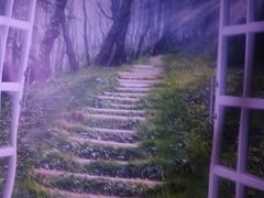 -仪雅阁·泡浴SPA养生馆