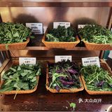 火锅美味享不停