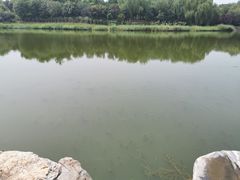 -大兴滨河森林公园