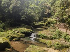 -碧峰峡风景区