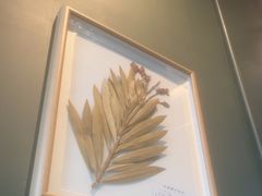 -章记星洲 · 新加坡餐厅(望京店)