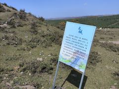 -草原天路(张北县)