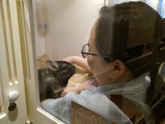 -龙猫仔乐园(惠福东路店)