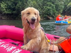 -安吉龙王山峡谷漂流