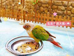 -杭州开元森泊度假乐园