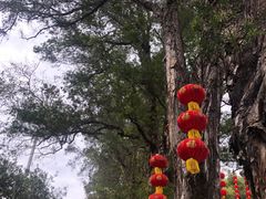 -桃花涧