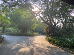 -南沙蒲洲花园
