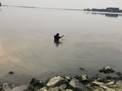 -漕湖湿地公园