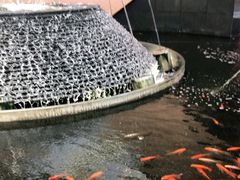 -新世界大丸百货