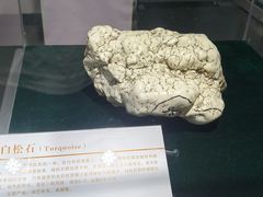 -中国第四纪冰川遗迹陈列馆