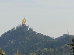-南山植物园