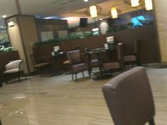 大堂-棕泉酒店-水疗西餐厅