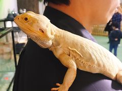 -藦茜花园宠物主题亲子互动体验馆(国顺东路店)