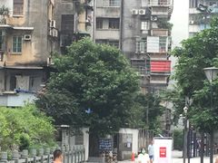 -杨箕村B区