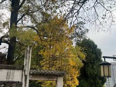 -阳明祠