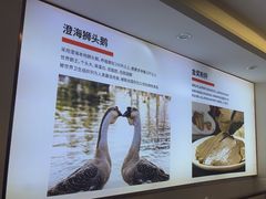-陆记鹅庄·潮汕菜·狮头鹅(大仟里店)