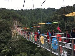 -九龙江国家森林公园