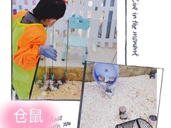 -怪兽屋·羊驼·猫咖·狗咖(俊华广场店)