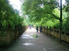 -南山植物园