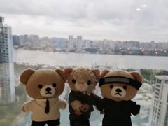 -上海豪德万源酒店(陆家嘴东方明珠店)