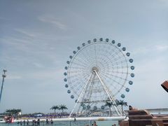 -秦皇岛乐岛海洋王国