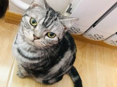 -平行世界·猫咖(首经贸店)