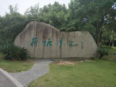 -荷塘月色湿地公园·向阳花洲
