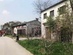 -田园东方蜜桃村的田野营地