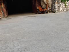 -仙蘑洞
