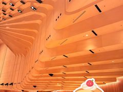 -悉尼歌剧院