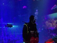 -沈阳海洋探索中心