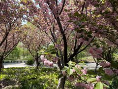 -江南大学(蠡湖校区)